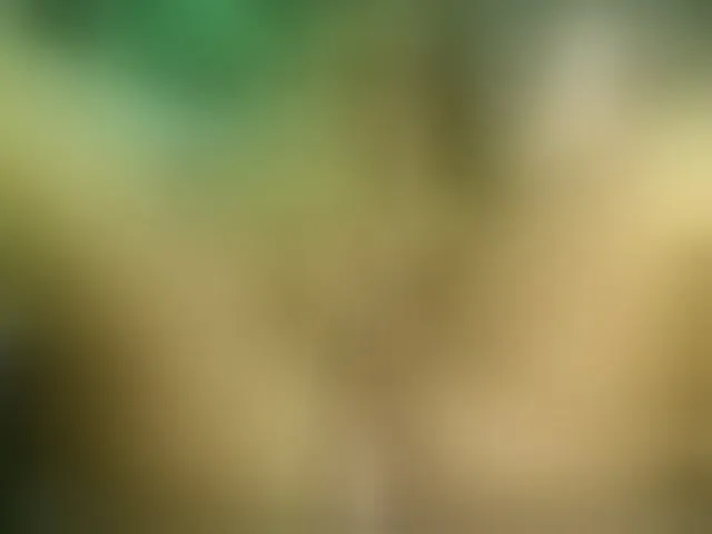 Live sex webcam photo for devilbigcockk #293848319