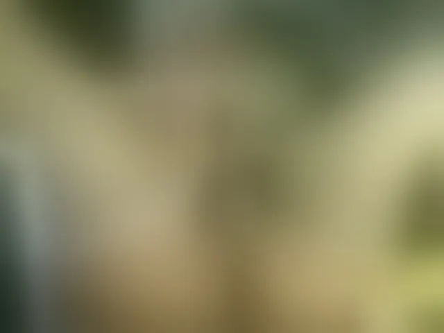 Live sex webcam photo for devilbigcockk #293945710