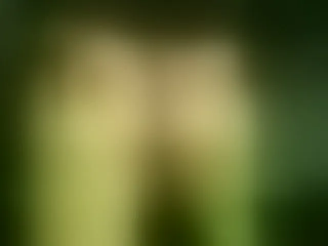Live sex webcam photo for devilbigcockk #294028392