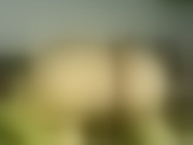 Live sex webcam photo for devilbigcockk #294103352