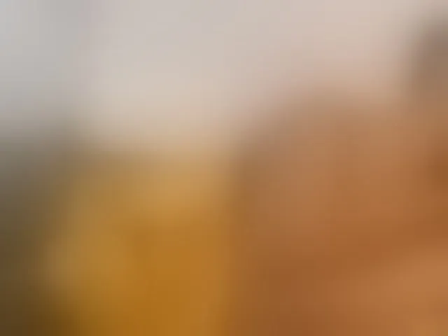 Live sex webcam photo for diamondboobs44dddx #293335406