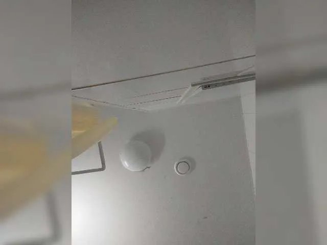 Live sex webcam photo for dina97a1 #272699990