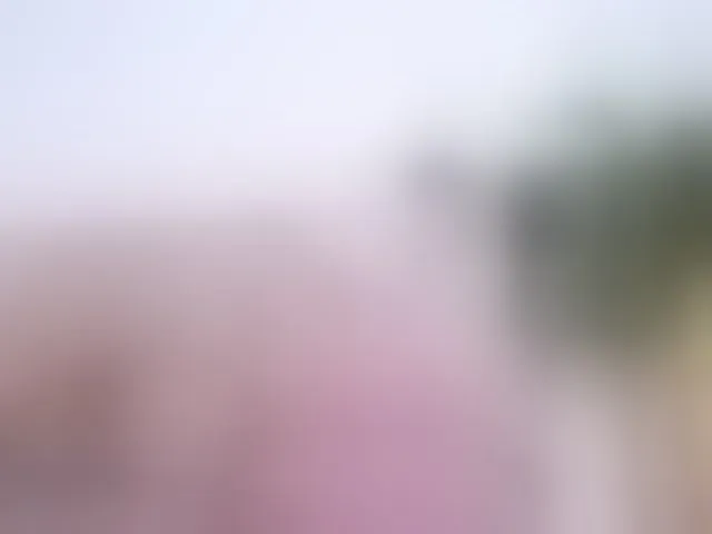 Live sex webcam photo for dirtybigcock1