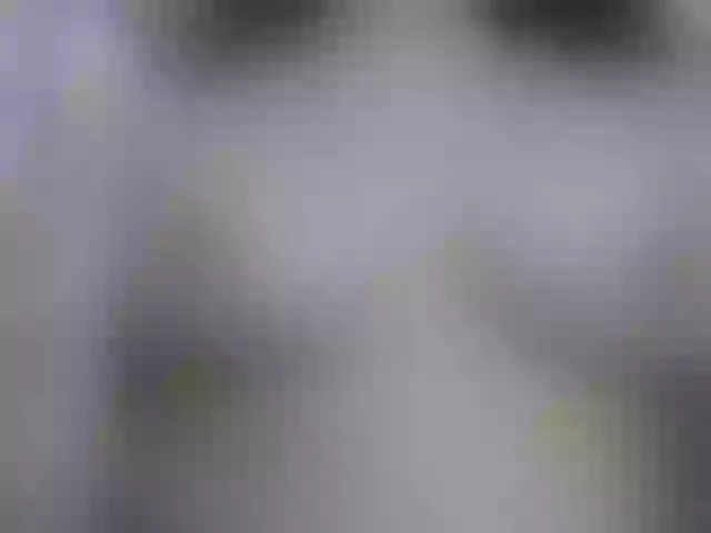 Live sex webcam photo for diva-tropical0808 #290564772