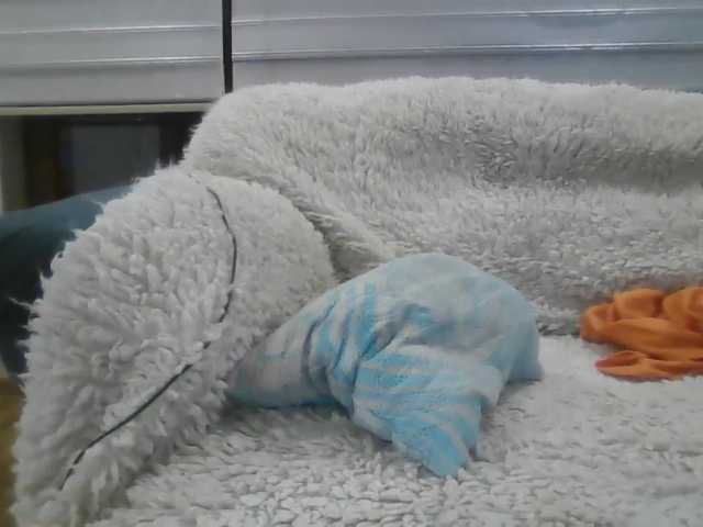 Live sex webcam photo for doar #276998923