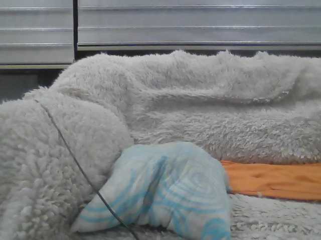 Live sex webcam photo for doar #277524015