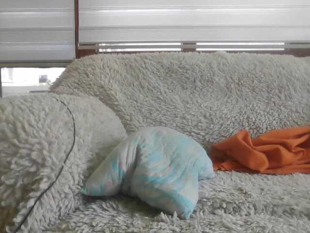 Live sex webcam photo for doar #277541308