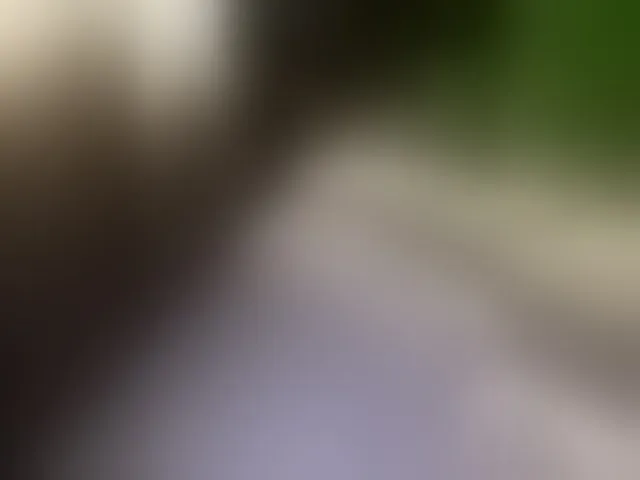 Live sex webcam photo for doktorgirl #293910263