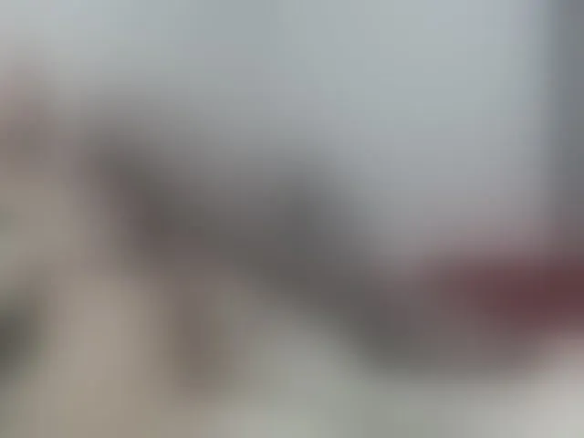 Live sex webcam photo for dreammilf #275596354