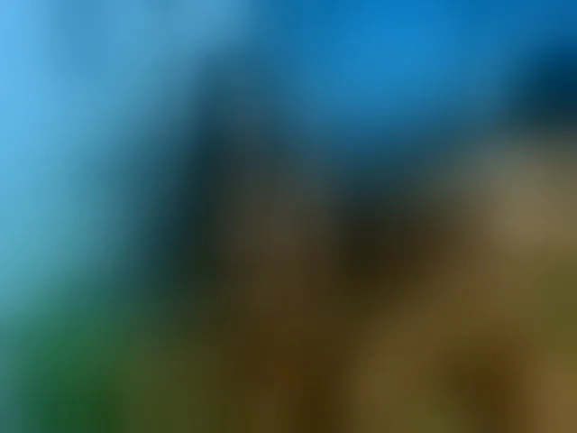 Live sex webcam photo for dual-sensual #277521711