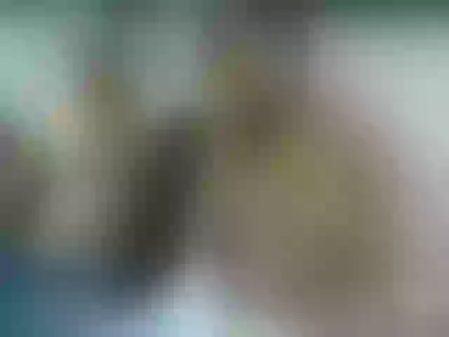 Live sex webcam photo for duodirty #272533478