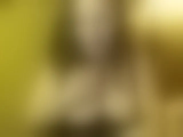 Live sex webcam photo for dutchmilf #293608152