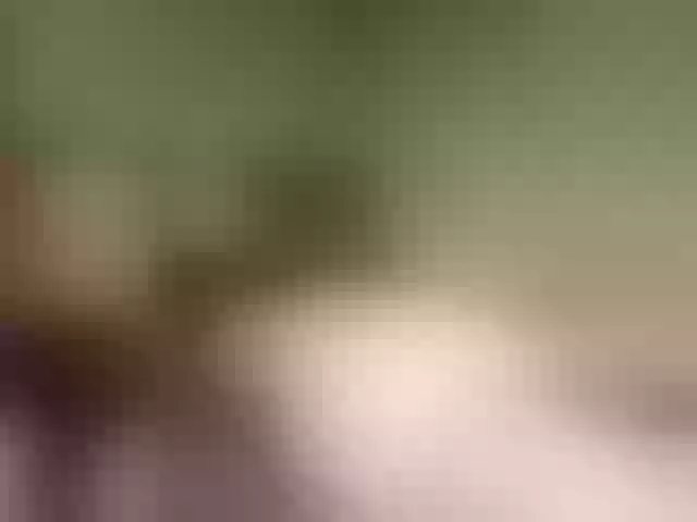 Live sex webcam photo for e-Bunny #277438378