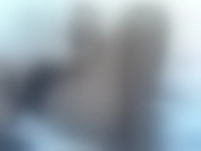 Live sex webcam photo for ebonychocolate #293146608