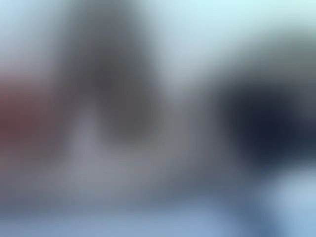 Live sex webcam photo for ebonychocolate #293148391