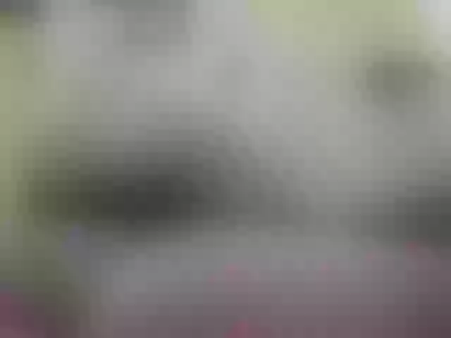 Live sex webcam photo for ebonycristal #273009827