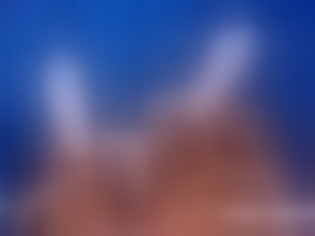 Live sex webcam photo for ebonydreams01 #294263971