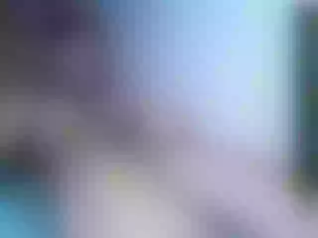 Live sex webcam photo for edwuar11 #291917772