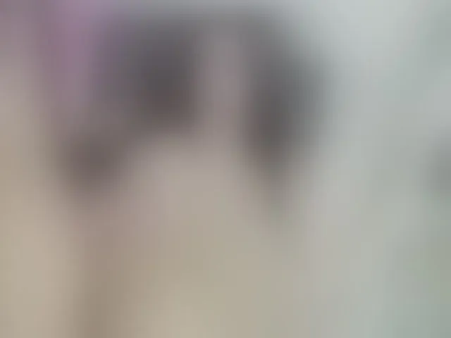 Live sex webcam photo for ela-cute #293976660