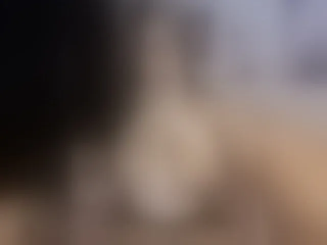 Live sex webcam photo for ela-endez #293287986