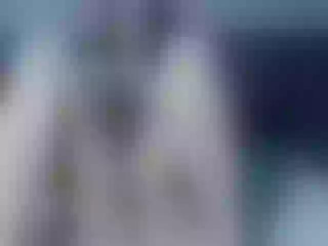 Live sex webcam photo for elaiZZZaa #276500570