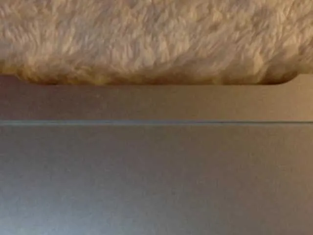 Live sex webcam photo for electra-sexxy #280697653