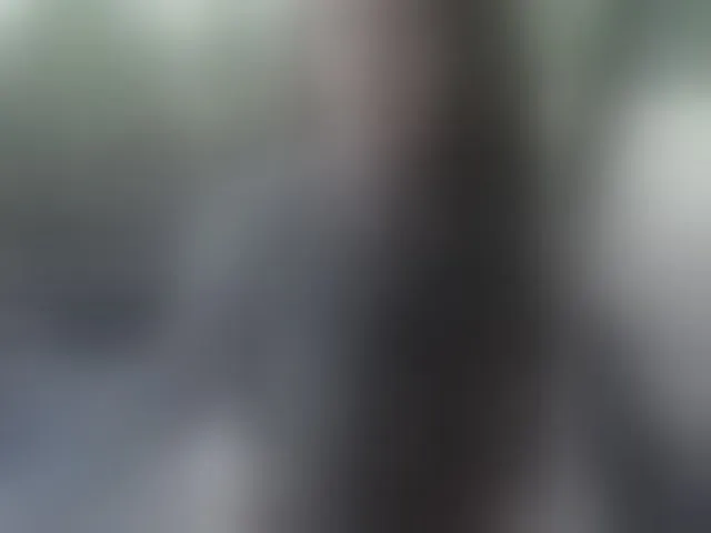 Live sex webcam photo for electrified #292449402