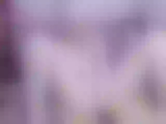 Live sex webcam photo for elifblond #277706953
