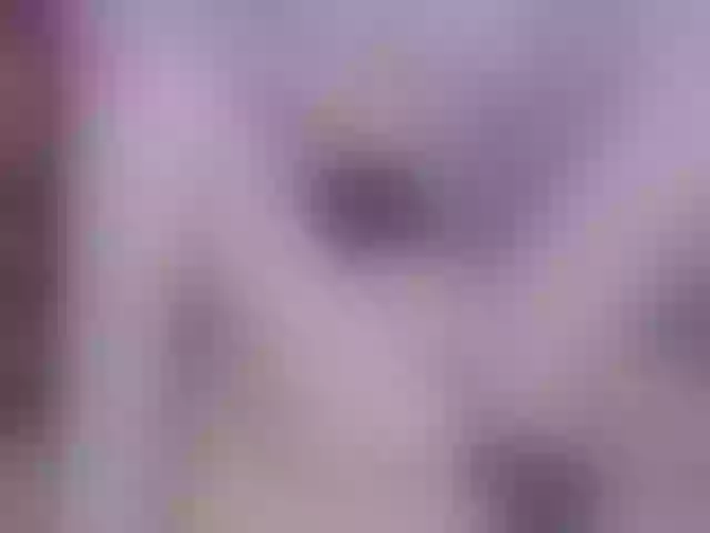 Live sex webcam photo for elifblond #277893269