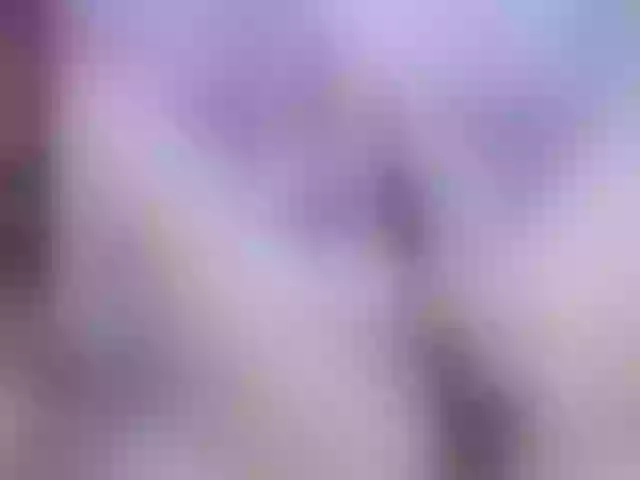 Live sex webcam photo for elifblond #277909580