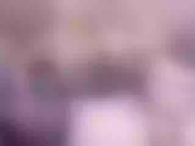 Live sex webcam photo for elifblond #290665333
