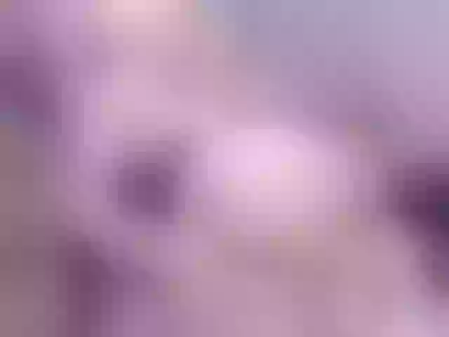 Live sex webcam photo for elifblond #291025144