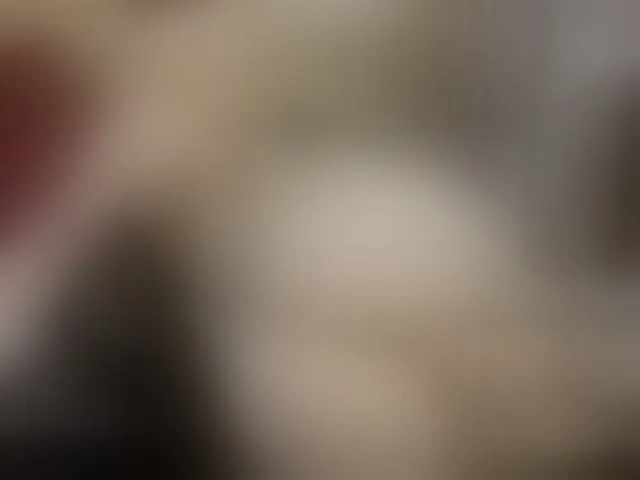 Live sex webcam photo for elifblond #292743877