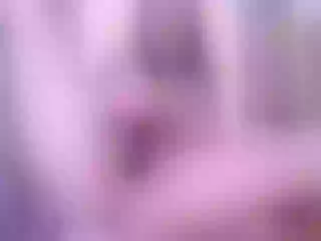 Live sex webcam photo for elinaxxx #272819097
