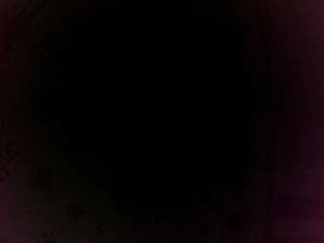 Live sex webcam photo for elisah #289324399