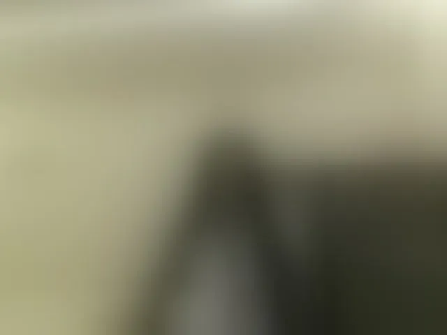Live sex webcam photo for elizamars #293049554