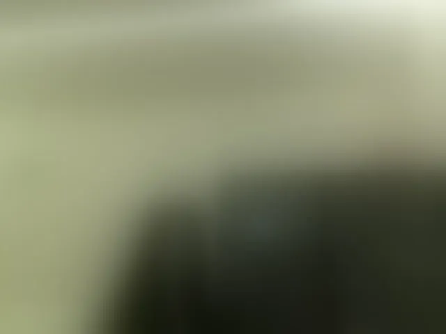 Live sex webcam photo for elizamars #293255761