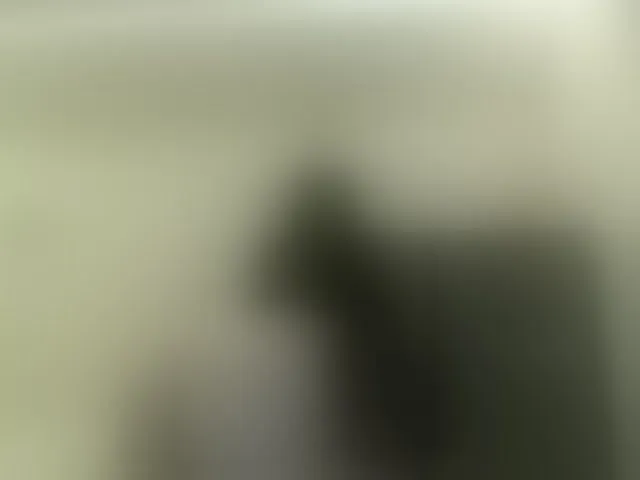 Live sex webcam photo for elizamars #293445879