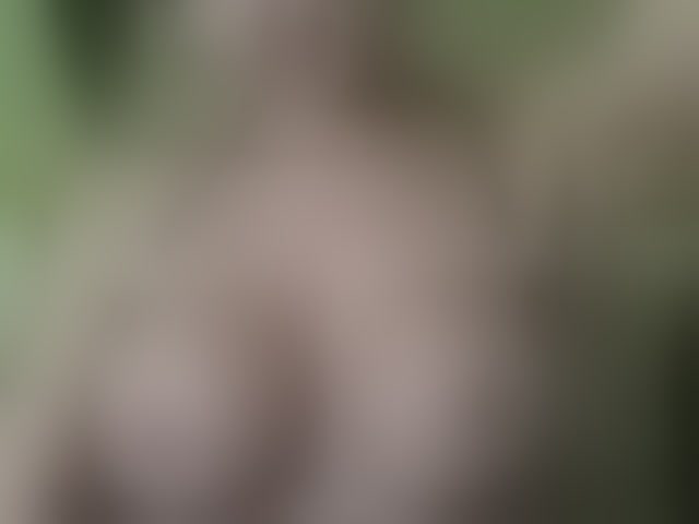 Live sex webcam photo for ell3 #290407700