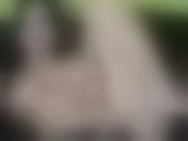 Live sex webcam photo for ell3 #290415173