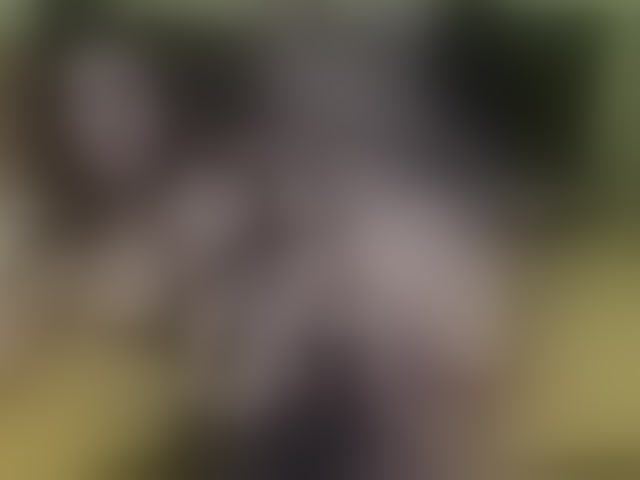 Live sex webcam photo for ell3 #290471455