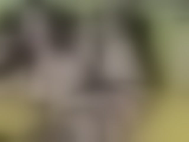 Live sex webcam photo for ell3 #290573590