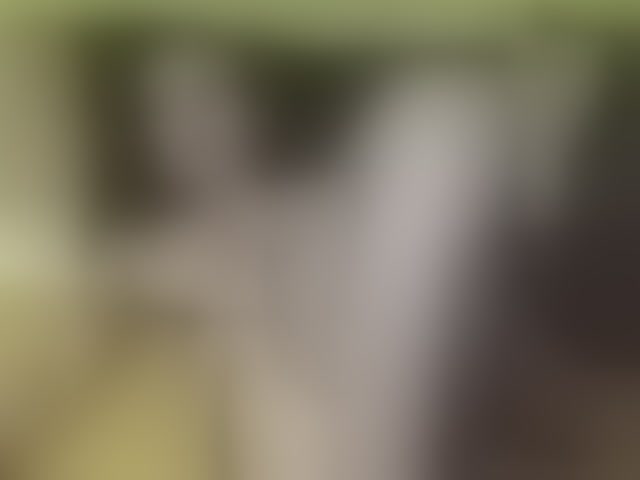 Live sex webcam photo for ell3 #290575079