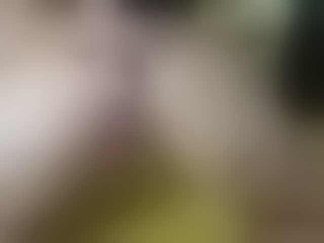 Live sex webcam photo for ell3 #290757613