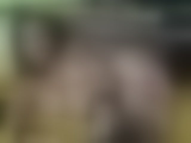 Live sex webcam photo for ell3 #290772648