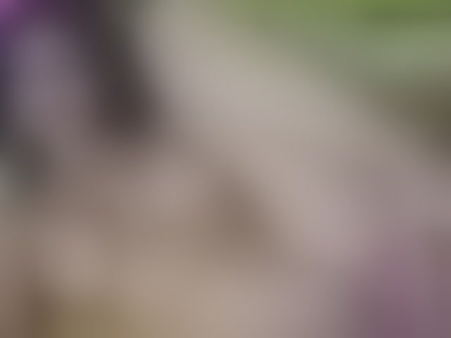 Live sex webcam photo for ell3 #290907974