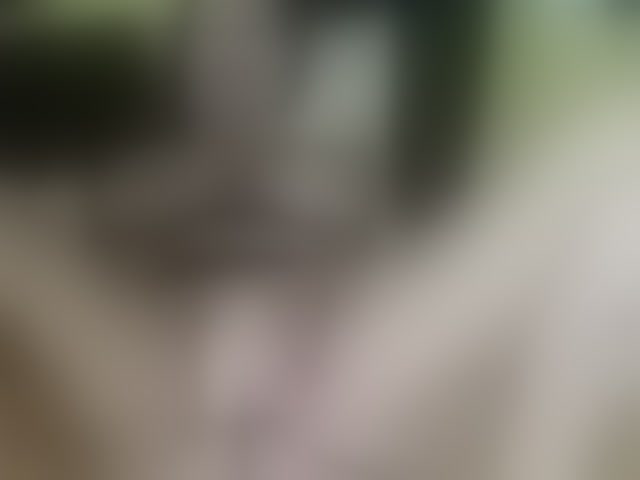 Live sex webcam photo for ell3 #291061829