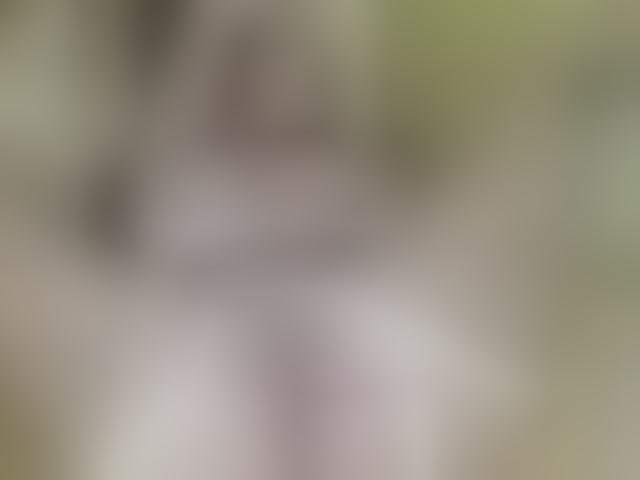 Live sex webcam photo for ell3 #291898728