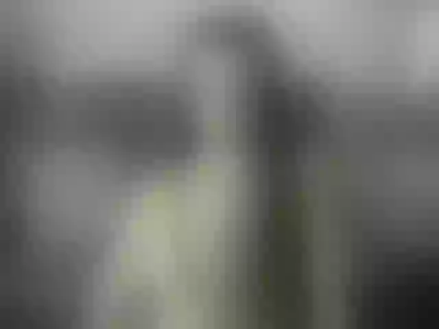 Live sex webcam photo for ella-myst #292241583