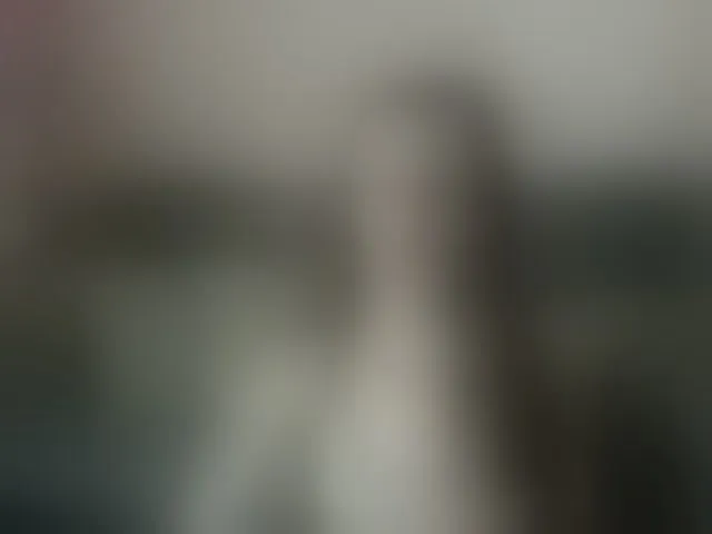 Live sex webcam photo for ella-myst #292328234